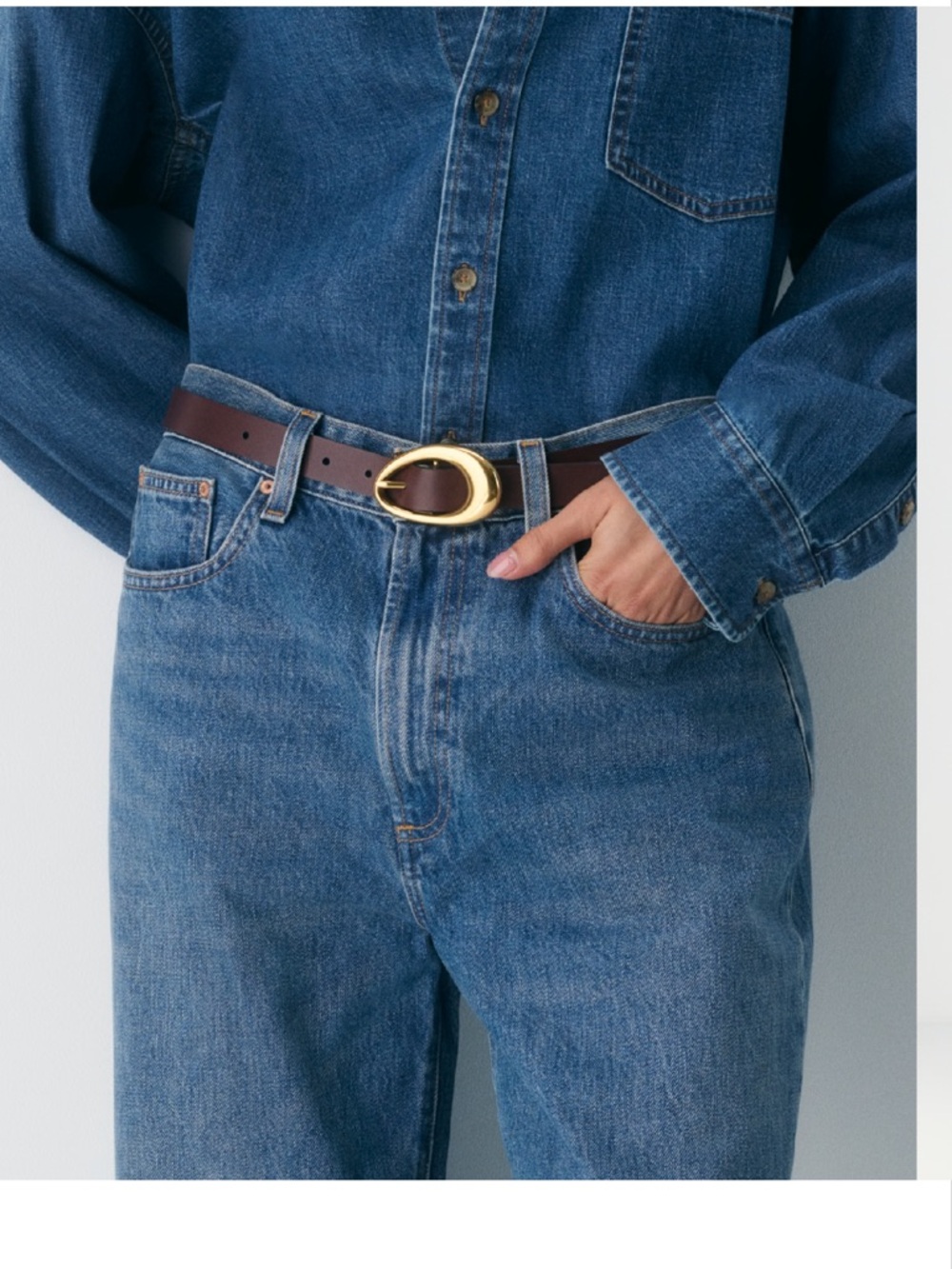 Aritzia Brown Leather Belt with Gold Oval Buckle